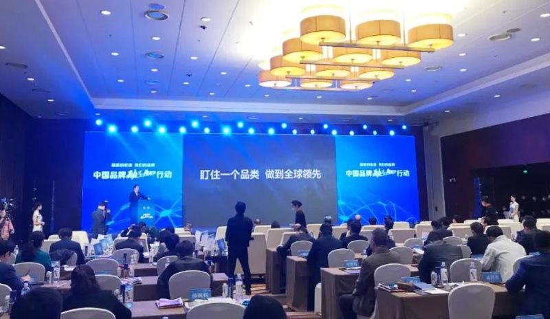 定了！美麗島進了國家隊，新華社專訪
